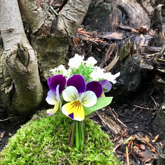 Meet your Posher, Megan - Picture 1 of 1